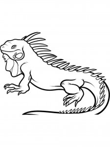 Iguana coloring page - picture 5