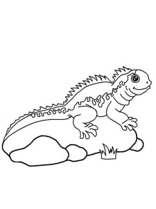 Iguana coloring page - picture 8