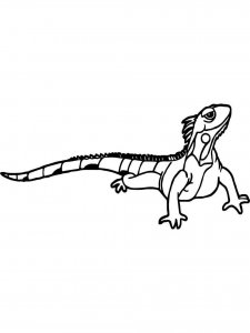 Iguana coloring page - picture 9