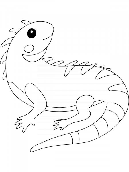 Iguana coloring pages