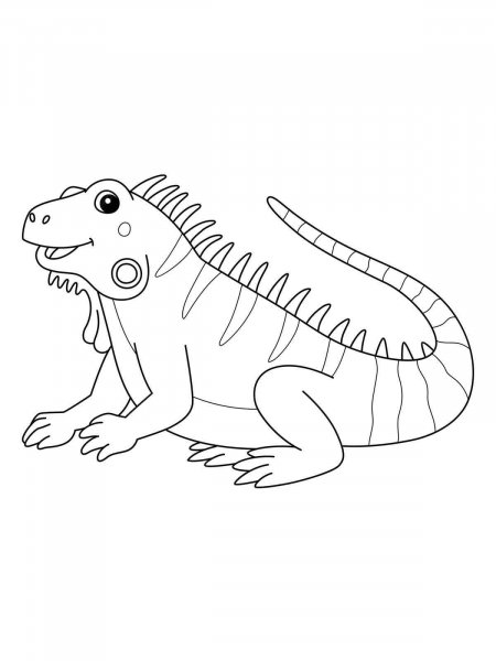 Iguana coloring pages