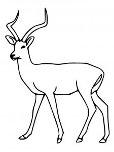 Impala coloring page - picture 9