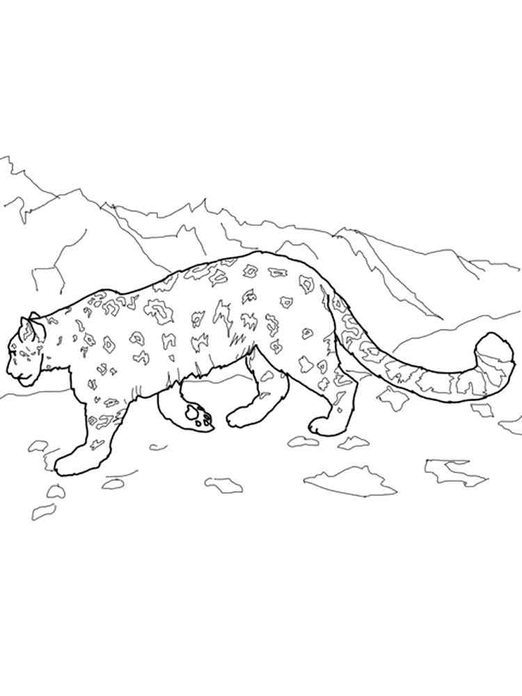 Irbis coloring pages