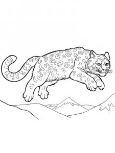 Irbis coloring page - picture 2