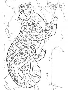 Irbis coloring page - picture 3