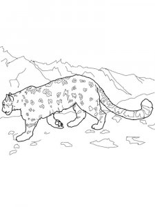 Irbis coloring page - picture 9