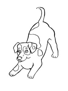 Jack Russell Terrier coloring page - picture 1