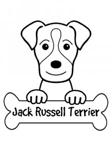 Jack Russell Terrier coloring page - picture 10
