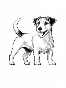 Jack Russell Terrier Coloring Pages 21