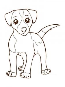 Jack Russell Terrier coloring page - picture 3