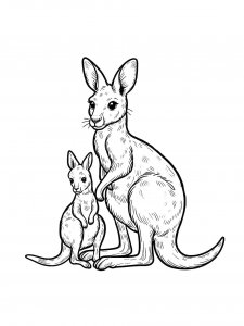 Kangaroo Coloring Pages 27
