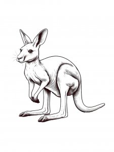 Kangaroo Coloring Pages 29