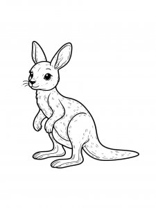 Kangaroo Coloring Pages 34