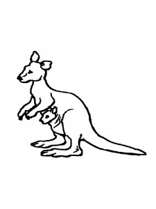Kangaroo Coloring Pages 39