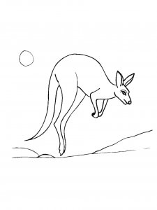 Kangaroo Coloring Pages 41