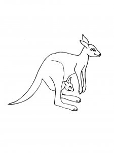 Kangaroo Coloring Pages 42