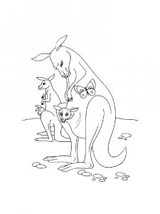 Kangaroo Coloring Pages 43