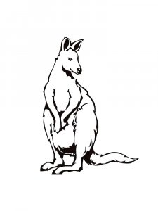 Kangaroo Coloring Pages 50