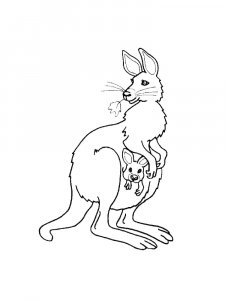 Kangaroo Coloring Pages 51