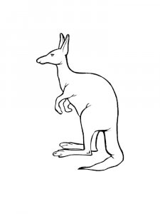 Kangaroo Coloring Pages 52