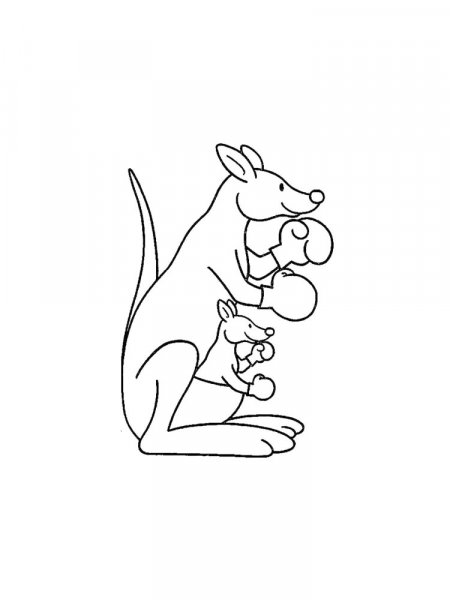 Kangaroo coloring pages - Free printable