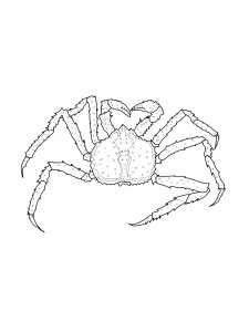 King Crab Coloring Pages 1