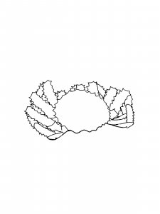 King Crab Coloring Pages 3