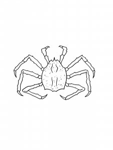 King Crab Coloring Pages 4