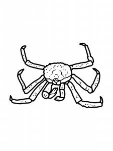 King Crab Coloring Pages 6