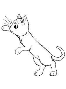 Kitten coloring page - picture 33