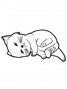 Kitten coloring page - picture 4