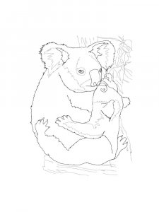 Koala coloring page - picture 27
