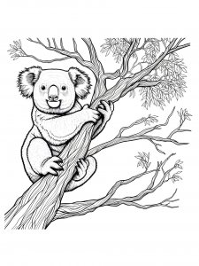 Koala coloring page - picture 34