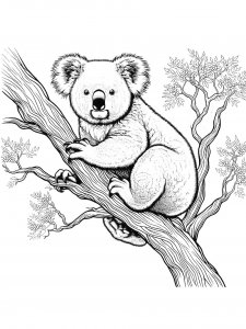 Koala coloring page - picture 37
