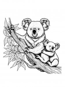 Koala coloring page - picture 40