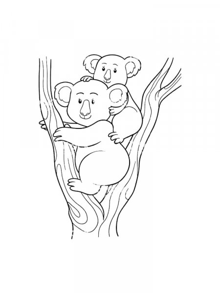 Koala coloring pages