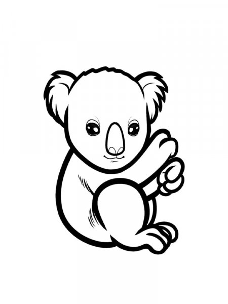 Koala coloring pages