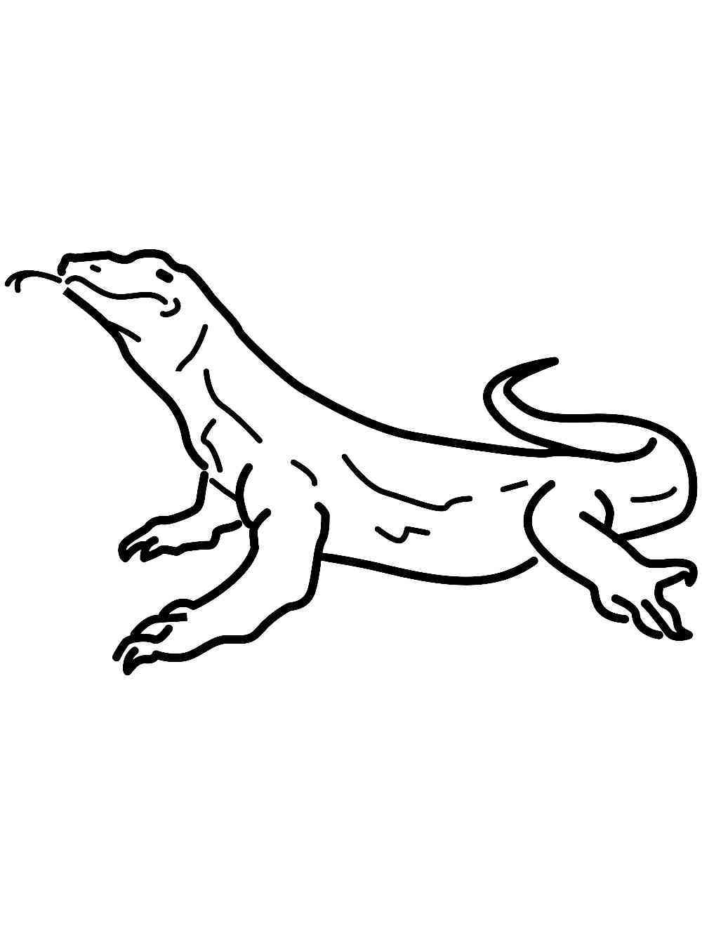 free komodo dragon coloring pages download and print komodo dragon coloring pages