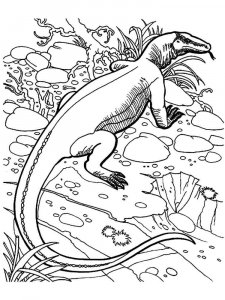 Komodo Dragon coloring page - picture 1