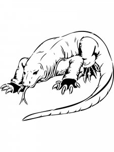 Komodo Dragon coloring page - picture 10