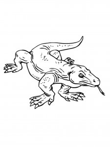Komodo Dragon coloring page - picture 13