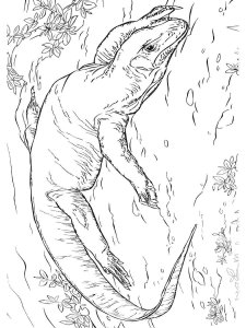 Komodo Dragon coloring page - picture 15