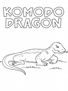 Komodo Dragon coloring page - picture 5