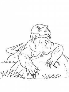 Komodo Dragon coloring page - picture 6