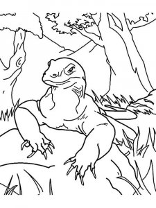 Komodo Dragon coloring page - picture 7