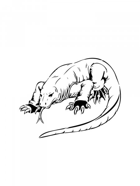 Komodo Dragon coloring pages