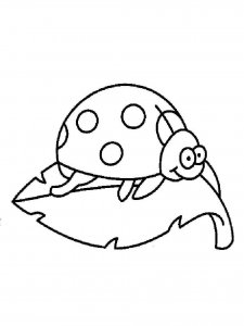 Ladybug coloring page - picture 10