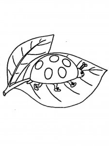Ladybug coloring page - picture 12