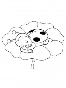 Ladybug coloring page - picture 15