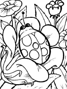 Ladybug coloring page - picture 16